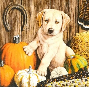 P547# 3 servilletas de papel individuales para decoupage cachorro blanco perro con calabaza de otoño - Imagen 1 de 9