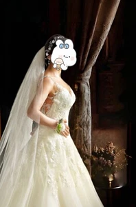 White Pronovias Wedding Dress with veil MSRP $3539 Size 6 (street 0/XS),  $450! - Picture 1 of 8