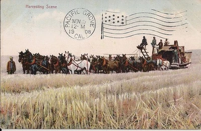 Gran equipo de caballos tirando cosechadora, equipo agrícola 1908 CA California Foto 1 de 2