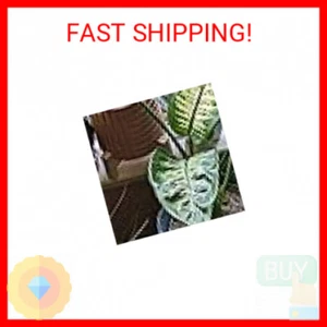 Glow in The Dark Rocks - 100pcs Garden Pebbles Multi Color Luminous Fish Tank St - Picture 1 of 2