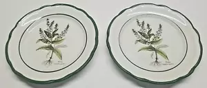 Primula Decorata a Mano Salad Plate Veronica anagallis-aquatica Italy Set of 2 - Picture 1 of 5