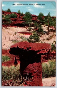 Postcard Giant Mushroom, Garden Of The Gods Colorado Unposted - Picture 1 of 2