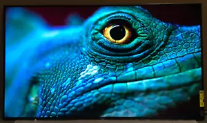 Sony X950H 85" 4K UHD Smart LED TV HDR 120Hz 4 x HDMI 2 x USB XBR85X950H *READ* - Picture 1 of 13
