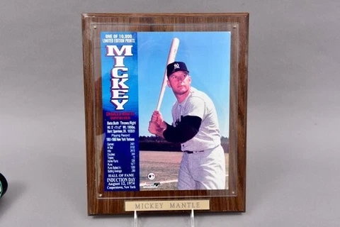 Mickey Mantle Plaque Hall Of Fame Induction Day Photo  on Wood  1 of 10000 Cover