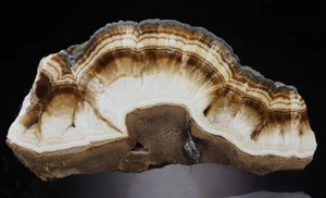 BARITE, MARCASITE esemplare estetico LUBIN - POLONIA!! /al428 - Foto 1 di 1