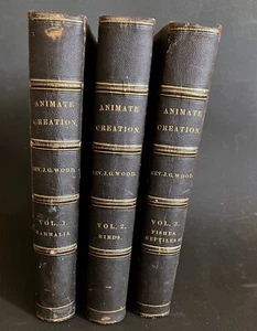 1885 ANIMATE CREATION Complete 3 Vol. JG Wood - Mammalia Birds Fishes & Reptiles - Bild 1 von 17