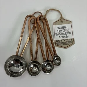 Thirstystone Hammered Penny Copper & Stainless Steel Measuring Spoons NWT - Picture 1 of 9