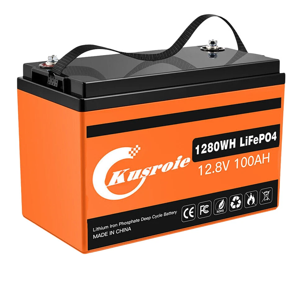 Eco-worthy 12V 20Ah LiFePO4 Lithium Batterie