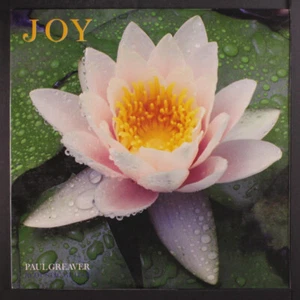 PAUL GREAVER: joy GLOBAL PACIFIC 12" LP 33 RPM - Afbeelding 1 van 2