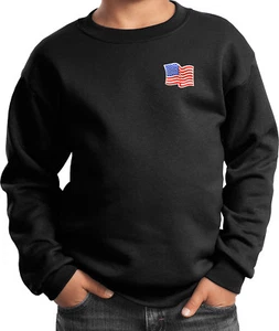 Buy Cool Shirts Kids Waving USA Flag Sweatshirt Patch Pocket Print - Picture 1 of 18