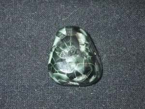 Grande clorastrolite lucida Michigan Greenstone 25,5 ct - Foto 1 di 6