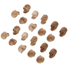 Spooky Mini Props: 20 Realistic Skulls for !