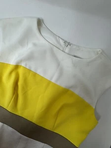 Sandra Darren Women’s Size 6 Zip Dress Sleeveless Yellow Brown White Stripe GHV4 - Picture 1 of 7