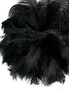 200 Feathers - 9-13" Black Ostrich Drab Wholesale Bulk Centerpiece Costume Craft - Picture 1 of 11