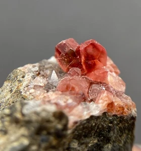 5 mm Rhodochrosite crystals on matrix - Chucchacqua, Lima dept, Peru - Picture 1 of 11