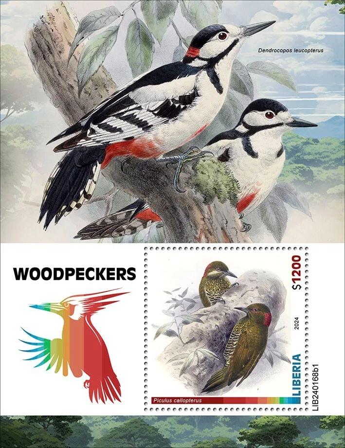 Estampillas de pájaros carpinteros MNH 2024 Liberia S/S Foto 1 de 1