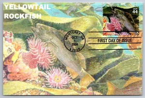 #4423e Kelp Forest Rockfish FDC Maxi Card - Picture 1 of 2