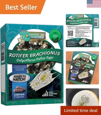 Rotifers Brachionus calyciflorus Pallas Eggs Live Fish Food for Hatching and ... - Image 1 of 4