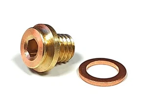 Supercharger Part - Vortech Gearbox Brass Side Plug 3/8-16 - Picture 1 of 1