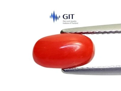 GIT certified 2.03cts Orange natural coral oval cabochon loose gemstones - Image 1 of 3