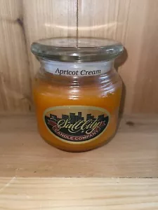 Salt City Candle Company Apricot Cream 20oz 95% - Picture 1 of 3