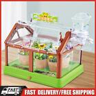 Kids Plant Growing Kit Interactive Grow Room Garden Tools for Science Education