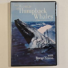 Świat wielorybów humpback - edycja specjalna z Brentem Nixonem DVD 2008 NR