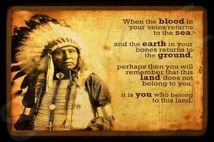 *NATIVE AMERICAN RETURN TO LAND* METAL SIGN 8X12 BLESSING PRAYER MEDICINE MAN - Picture 1 of 1