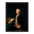 Francisco Jose De Goya Portrait Of Felix Colon Large Framed Art Print