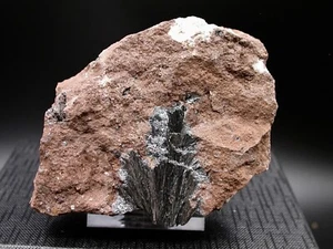 PYROLUSIT - OUARZAZATE, MAROKKO - 290 g - Bild 1 von 3