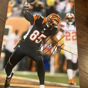 Tyler Eifert Signed 8x10 Photo Cincinnati Bengals Auto Notre Dame Autograph - Picture 1 of 2