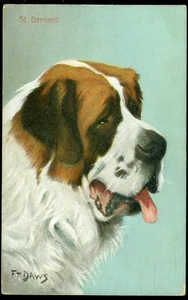 SIGNED POSTCARD - ST. BERNARD DOG - Picture 1 of 1