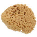 Honeycomb Bath Sponge for Deep Cleansing