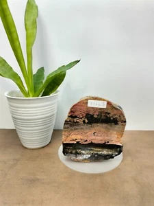 Rare mix brown black petrified wood with crystal polished 936gr (10x5x11cm) 325 - Picture 1 of 6