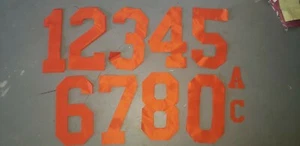 ORANGE Blockschrift Hockey Trikot NUR HINTEN 12" Tackle Twill Nummer Set Kit 005 - Bild 1 von 1