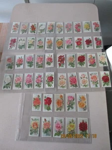 WD & HO Wills A Series of Roses 1912 Full Set of 50 cards in plastic sleeves - Picture 1 of 11