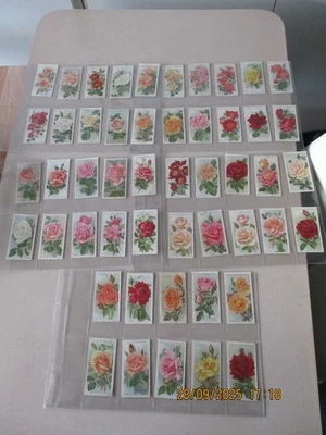 WD & HO Wills A Series of Roses 1912 Full Set of 50 cards in plastic sleeves - Image 1 of 4