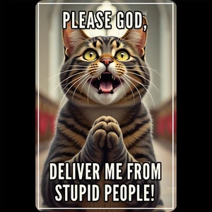 Divertido letrero de metal meme de gato 8x12 Ora por favor Dios libéralo de gente estupida arte - Imagen 1 de 2