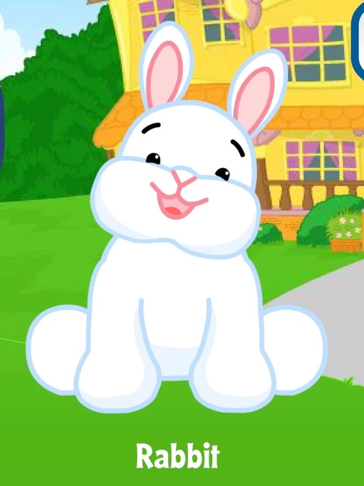 Webkinz Classic Rabbit - hm078 - Virtual Adoption Code Only - Image 1 of 1