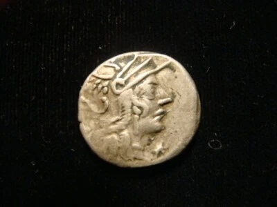 Rom Rep. Gens CALIDIA. DENARIUS. 106 BC. Roma head.Victory in biga right - Image 1 of 2
