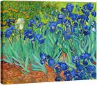 Wieco Art Irises Modern Stretched and Framed Floral 16x12inch (40x30cm) 