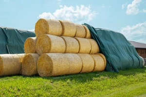 Agriplus - Telo Di Copertura, 9,8 X 12,50 M (122,5 M²), Utilizzo Versatile, Estr - Foto 1 di 12