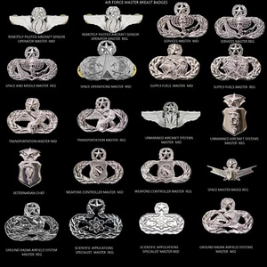 AIR FORCE OFFICIAL REGULATION MASTER BREAST BADGES VETERAN DRESS GIFT WOW - Picture 1 of 21