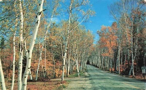 Shelburne Betulle, New Hampshire Cromato PC Vintage Non Pubblicato - Foto 1 di 2