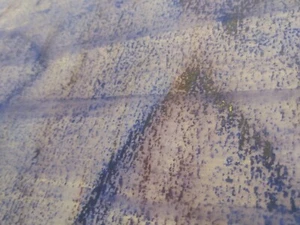 "Whispers of the Ancients" / Dry then Wet Watercolor Crayon / Matthew Natale - Picture 1 of 2