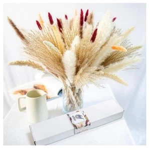 Natural Dried Pampas Grass Large Natural Plants Home Decorative Feathers Party W - Picture 1 of 1