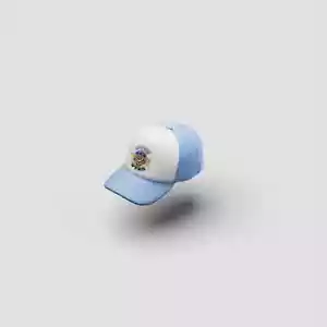 Anita Max Wynn Official Drake-Related Authentic SnapBack Hat BLUE✅ - Picture 1 of 2