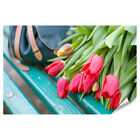 islandburner Premium Poster Nahaufnahme: Handtasche lsst Tulpen auf Bankrand b