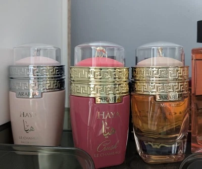 Arabia Le Chameau Foto 1 de 4