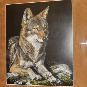 1989 AL AGNEW Black WOLF Art Print SIGNED Numbered Framed Lim Ed Matted - Picture 1 of 8